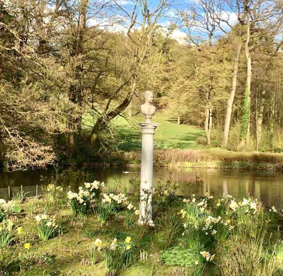 Exklusives Wohnen Am Stadtpark 巴特德里堡 外观 照片